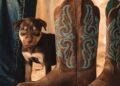ARIAT BOOTS