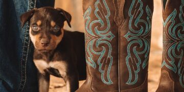 ARIAT BOOTS